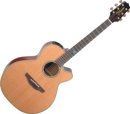 Takamine Santa Fé TSF40C - Guitare électro-acoustique auditorium (+ étui)