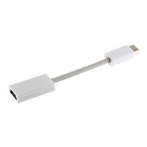 Todwish Mini DVI mâle vers HDMI femelle blanc Câble vidéo pour MacBook (15cm)